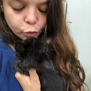 Meet your Posher, Loren